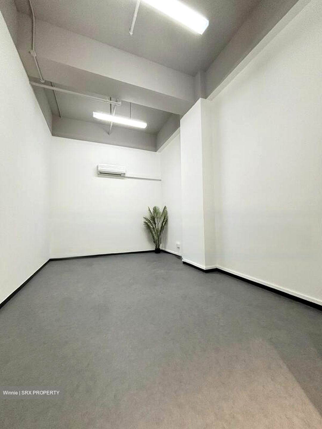 Primz Bizhub (D25), Factory #463004781